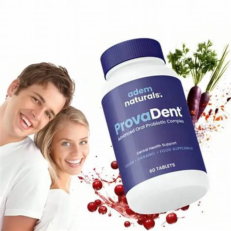 provadent with users
